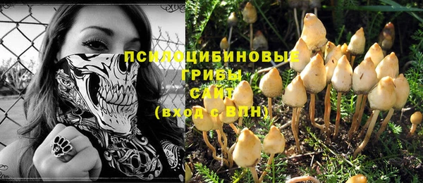 соль ск Волосово