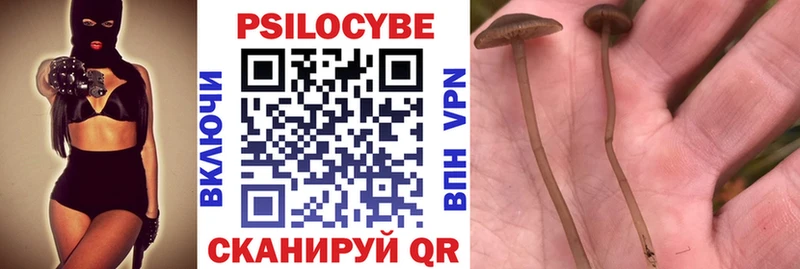 гидра ONION  Серпухов  Галлюциногенные грибы Psilocybe 